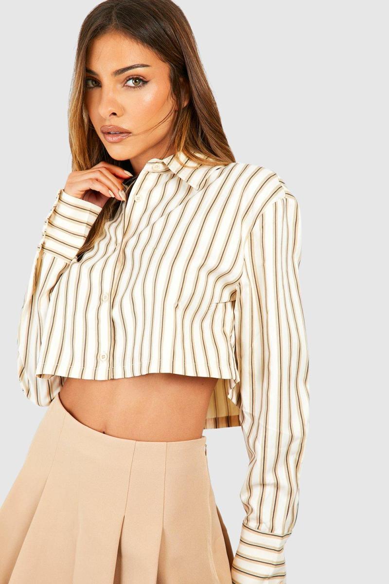 Укорочена сорочка в смужку